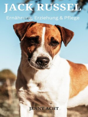 Jack Russel, Ernährung, Erziehung und Pflege - ebook